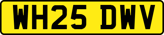 WH25DWV