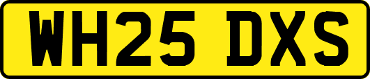WH25DXS