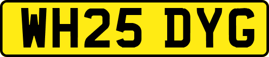 WH25DYG