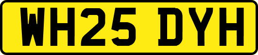 WH25DYH