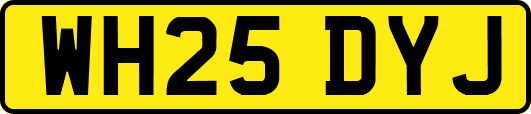 WH25DYJ