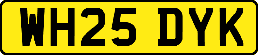 WH25DYK
