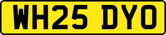 WH25DYO