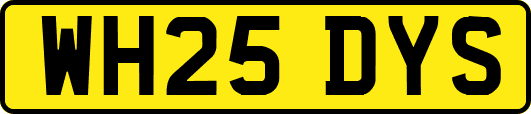 WH25DYS
