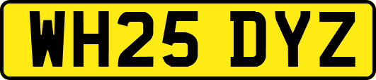 WH25DYZ