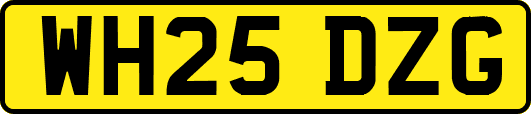WH25DZG