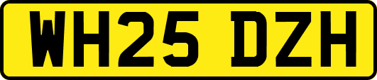 WH25DZH