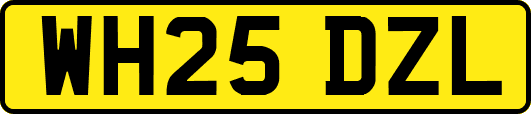 WH25DZL