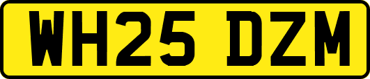 WH25DZM