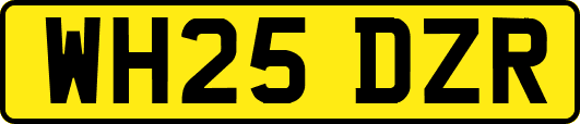 WH25DZR