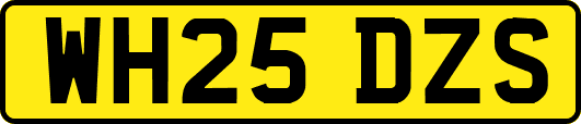 WH25DZS