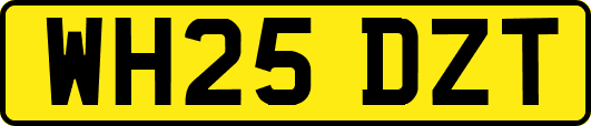 WH25DZT