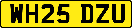 WH25DZU
