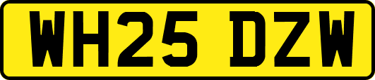 WH25DZW