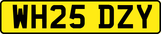 WH25DZY