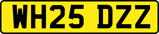 WH25DZZ