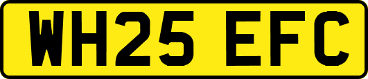 WH25EFC
