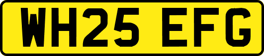 WH25EFG