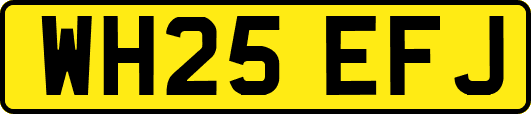 WH25EFJ