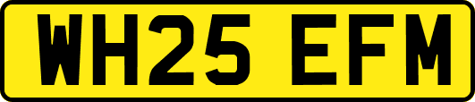 WH25EFM