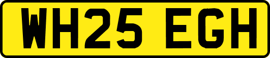 WH25EGH