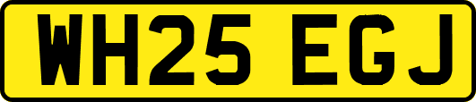 WH25EGJ