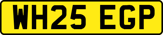 WH25EGP