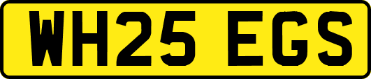 WH25EGS