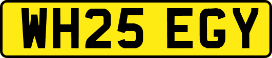 WH25EGY