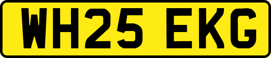 WH25EKG
