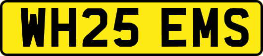 WH25EMS