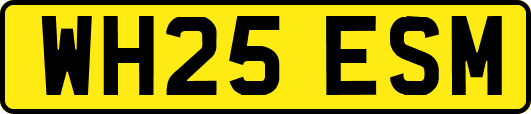 WH25ESM