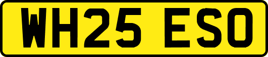 WH25ESO