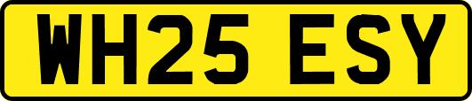 WH25ESY