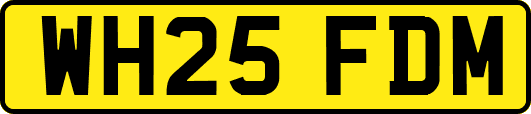 WH25FDM