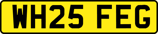WH25FEG