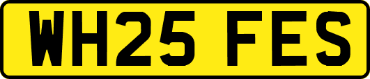 WH25FES