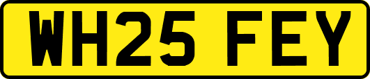 WH25FEY