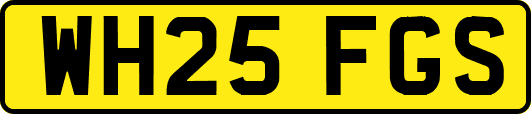 WH25FGS