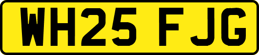 WH25FJG