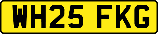 WH25FKG