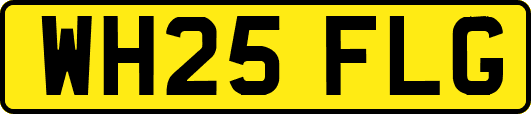 WH25FLG