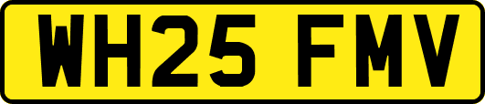 WH25FMV