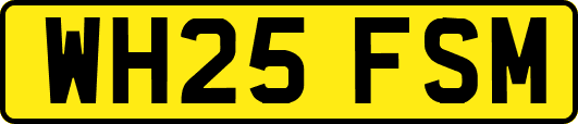 WH25FSM