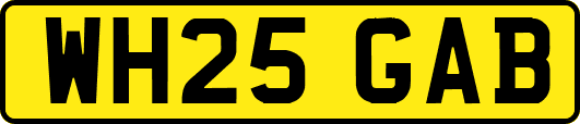 WH25GAB