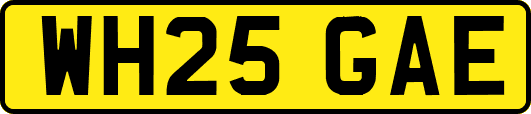 WH25GAE