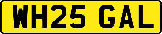 WH25GAL
