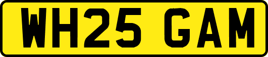 WH25GAM