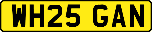 WH25GAN