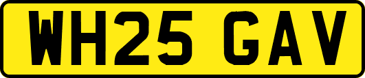 WH25GAV